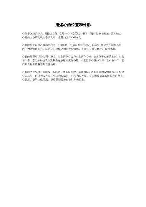 描述心的位置和外形