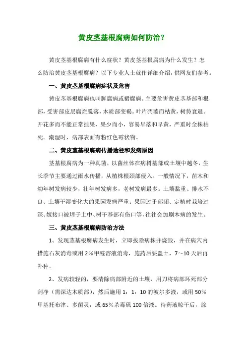 黄皮茎基根腐病如何防治？