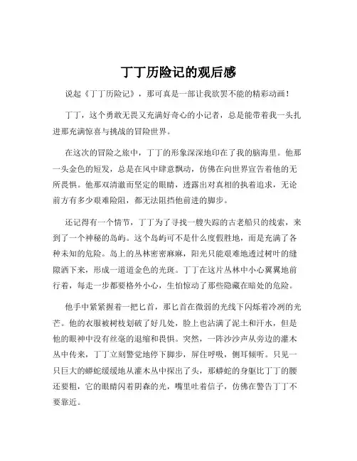 丁丁历险记的观后感