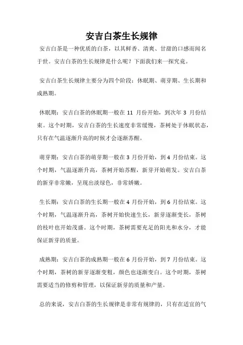 安吉白茶生长规律