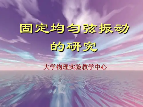固定均匀弦振动的研究