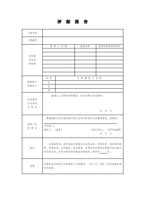 评标报告模版