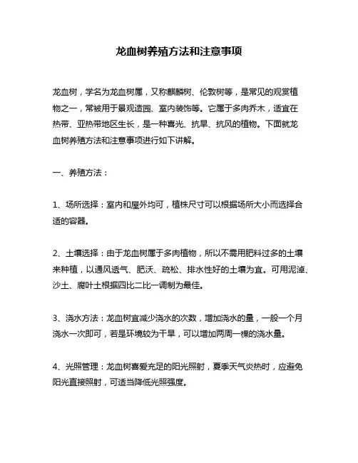 龙血树养殖方法和注意事项