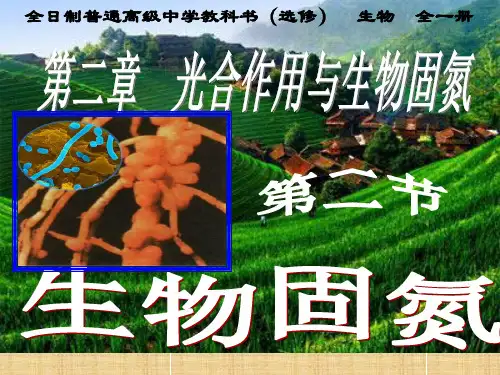 高中生物生物固氮名师精编课件 旧人教 选修