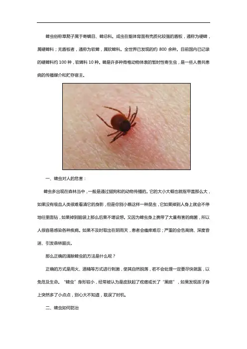 蜱虫的危害到底有多大及有效防治方法