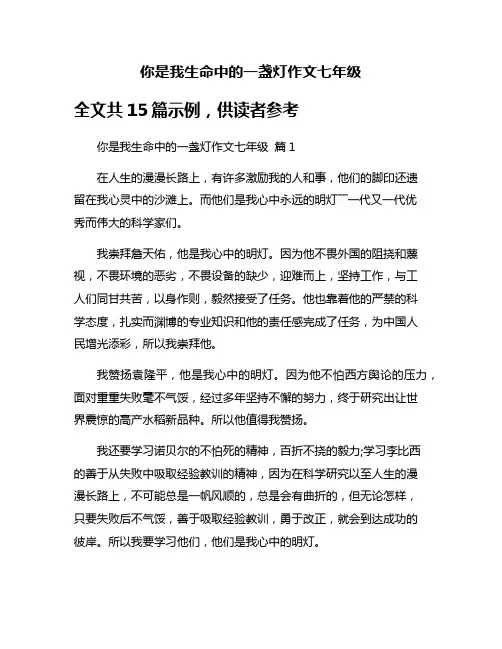 你是我生命中的一盏灯作文七年级