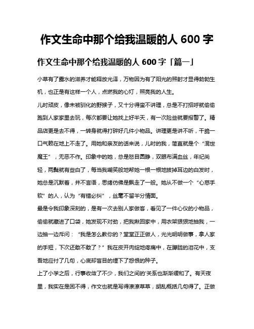 作文生命中那个给我温暖的人600字