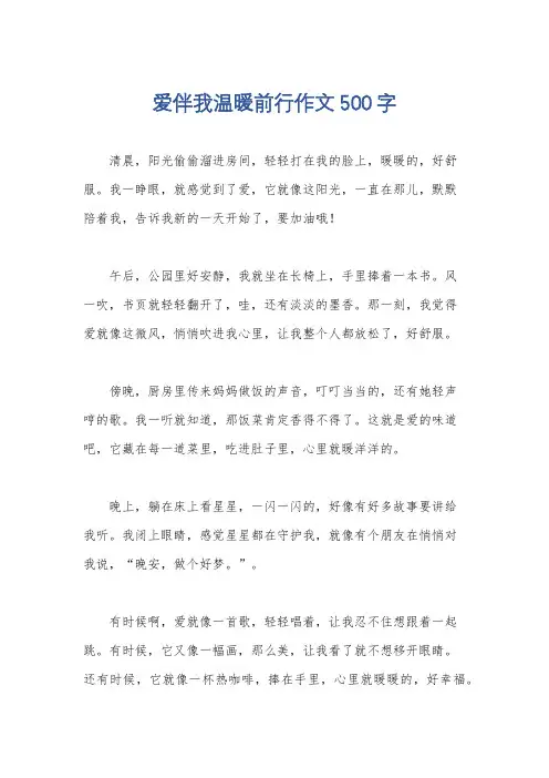 爱伴我温暖前行作文500字