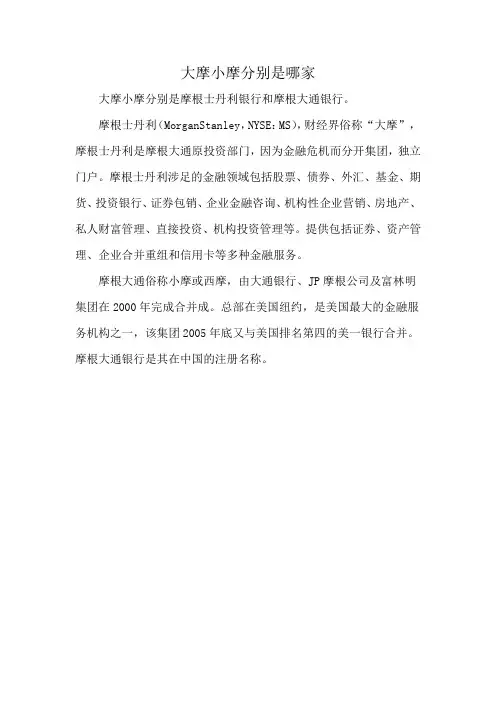 大摩小摩分别是哪家