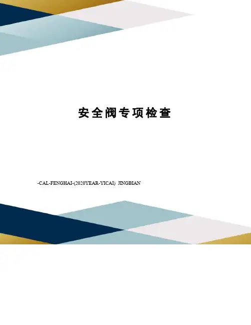 安全阀专项检查