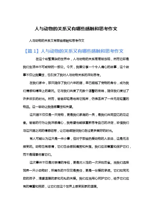 人与动物的关系又有哪些感触和思考作文