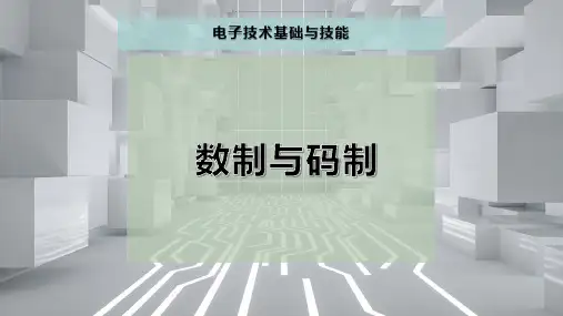 数制与码制