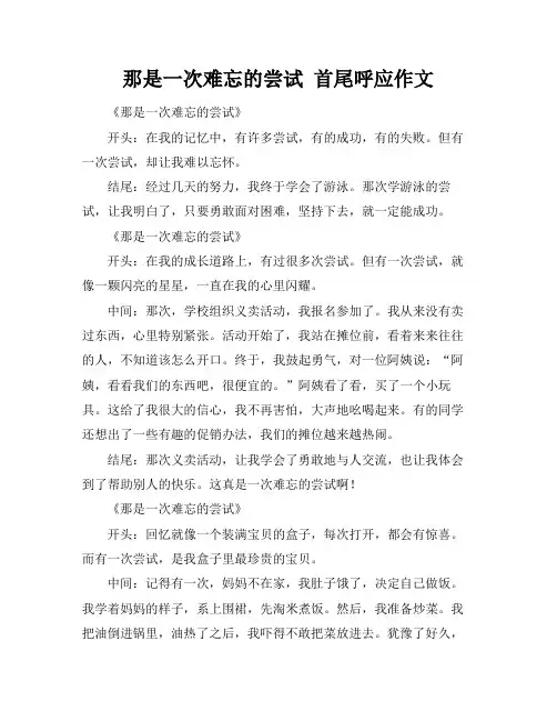那是一次难忘的尝试 首尾呼应作文
