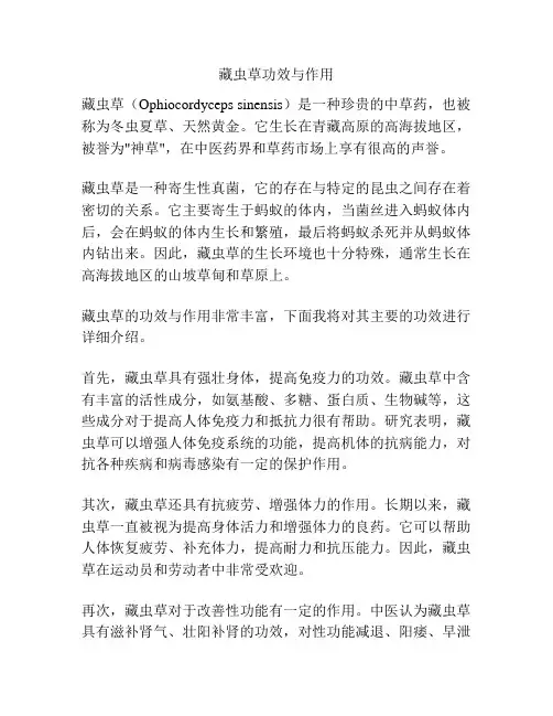 藏虫草功效与作用