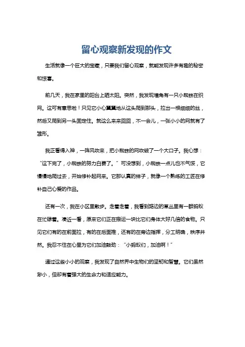 留心观察新发现的作文