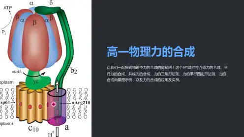 《高一物理力的合成》课件