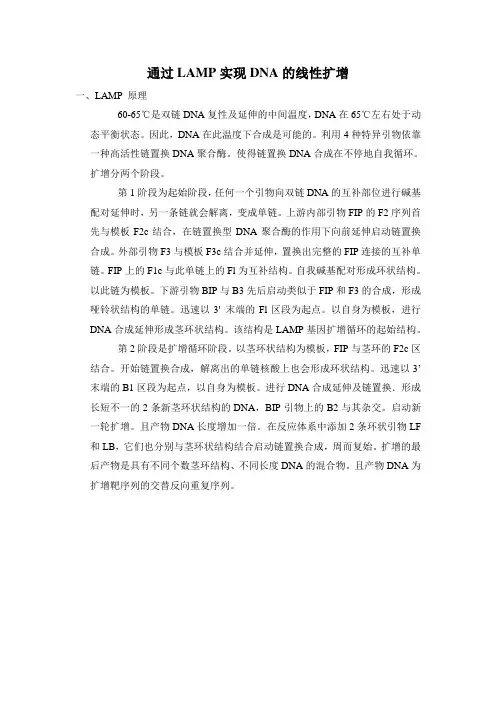 LAMP实验简介