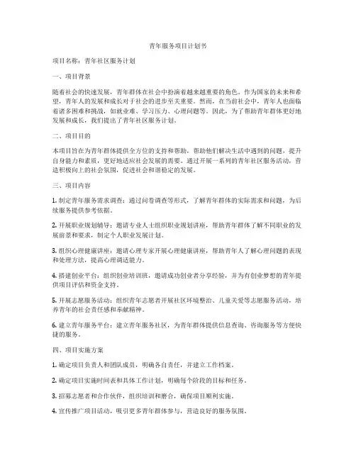 青年服务项目计划书