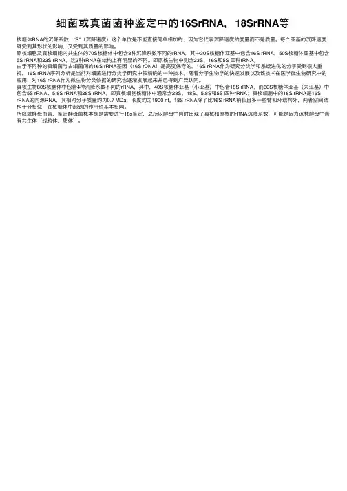 细菌或真菌菌种鉴定中的16SrRNA，18SrRNA等