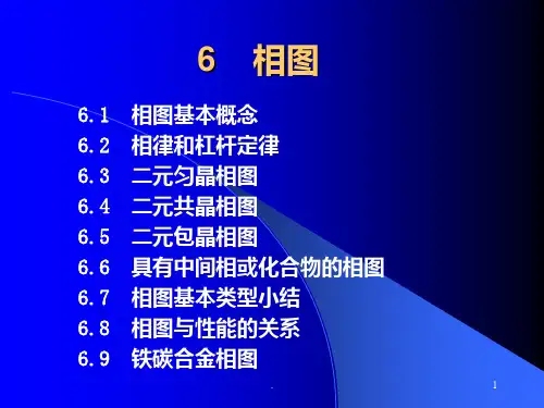 6.相图PPT课件