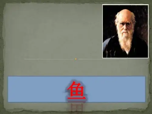 人教版生物八年级上册：5.1.4《鱼》(1)(64)