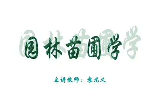 园林树木的大苗培育-更多文档分类
