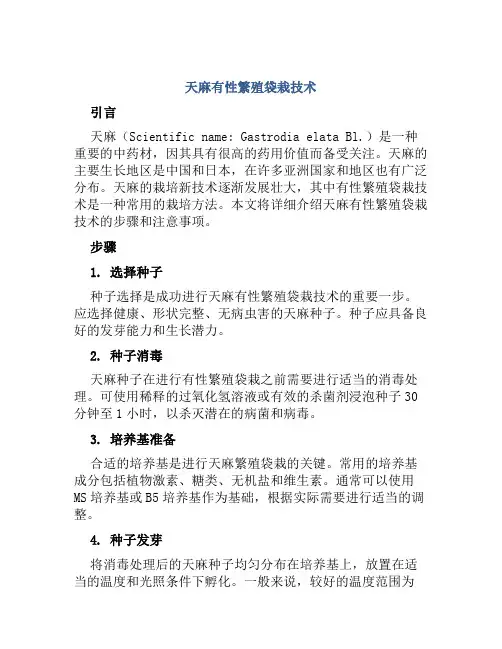 天麻有性繁殖袋栽技术