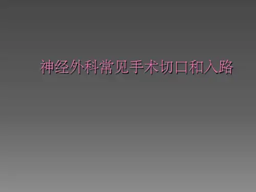 神经外科常见手术切口和入路