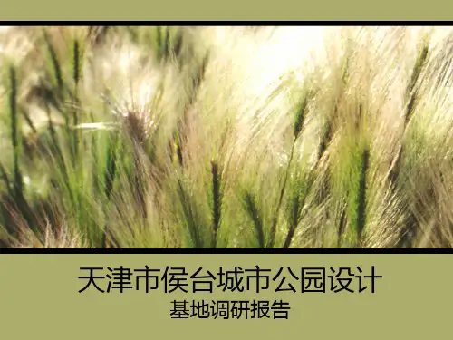 天津市侯台城市公园设计 调研报告