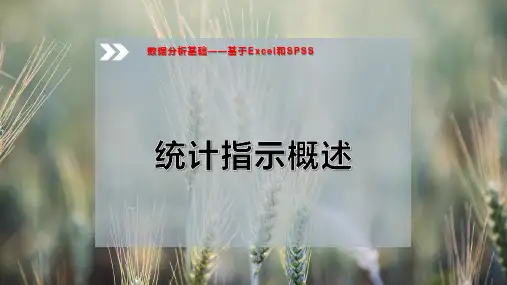 统计指示概述