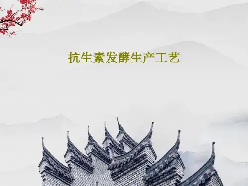 抗生素发酵生产工艺49页PPT
