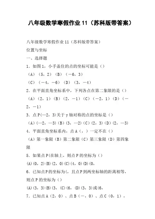 八年级数学寒假作业11苏科版带答案
