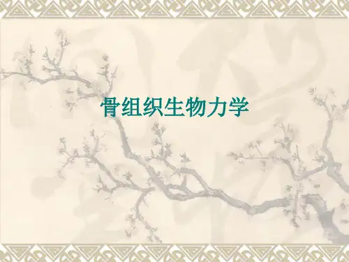 骨组织的生物力学