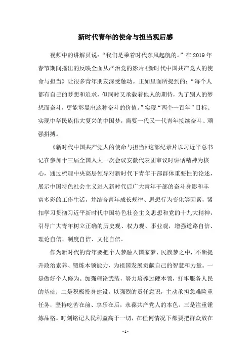 新时代青年的使命与担当观后感