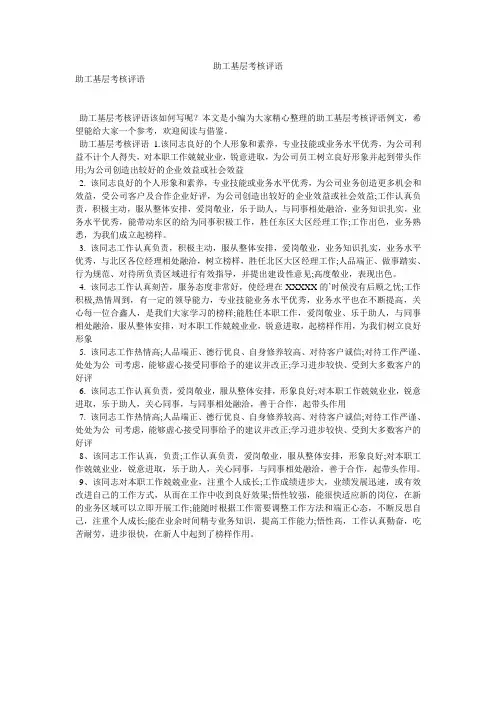 助工基层考核评语
