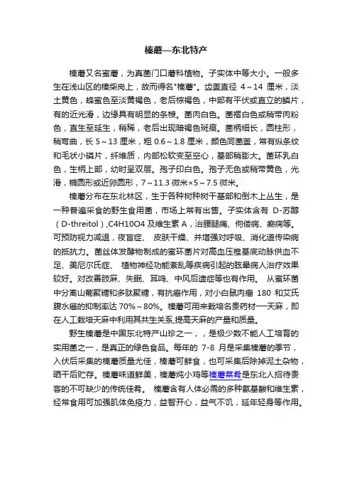 榛蘑—东北特产