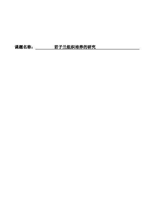 君子兰组织培养的研究