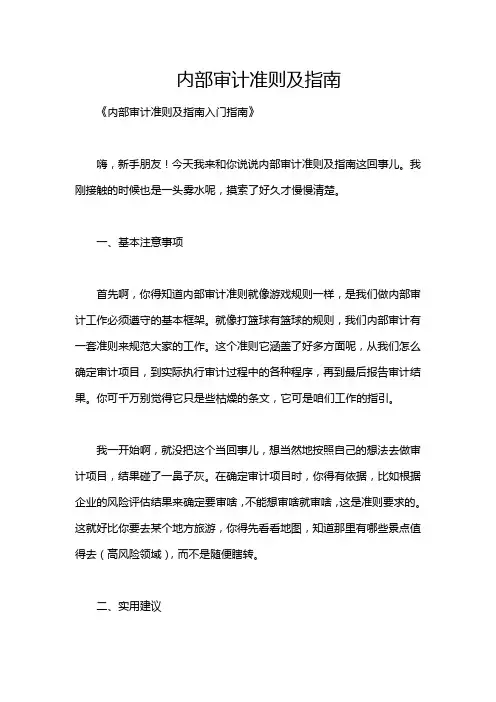 内部审计准则及指南