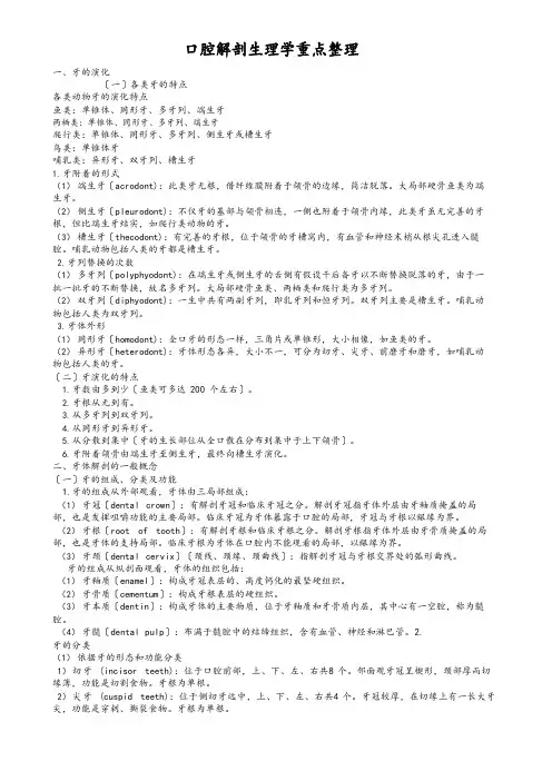 口腔解剖生理学