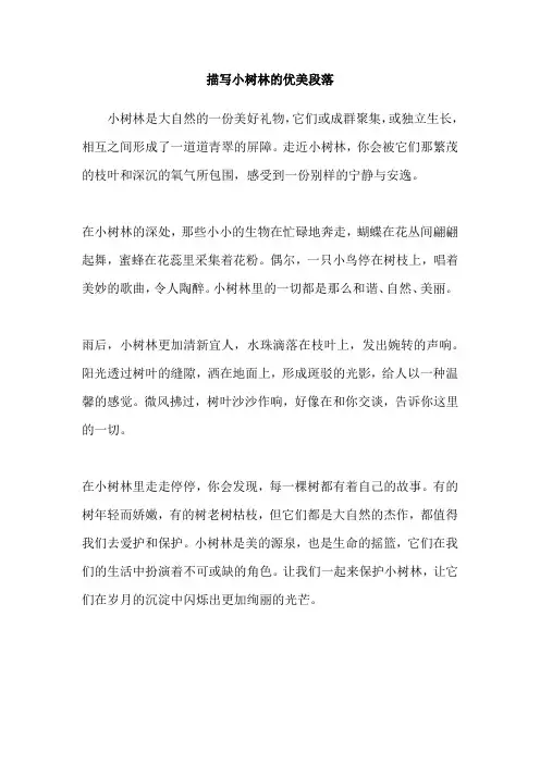 描写小树林的优美段落