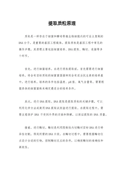 提取质粒原理