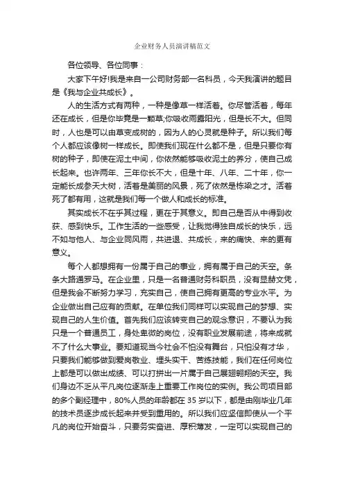 企业财务人员演讲稿范文_企业演讲稿_