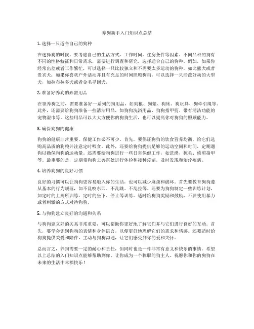 养狗新手入门知识点总结