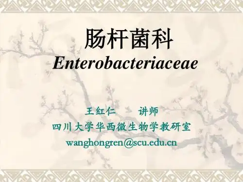 肠杆菌科