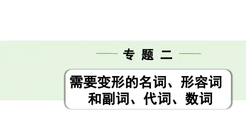 最新人教版中考英语知识点复习——专题二 第1讲 名词