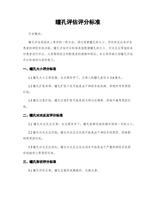 瞳孔评估评分标准