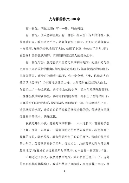 光与影的作文800字