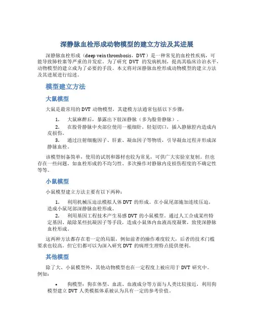 深静脉血栓形成动物模型的建立方法及其进展