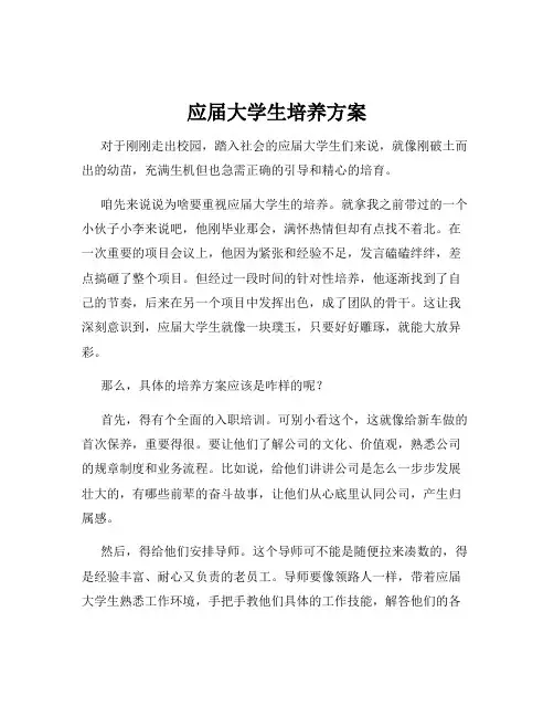 应届大学生培养方案