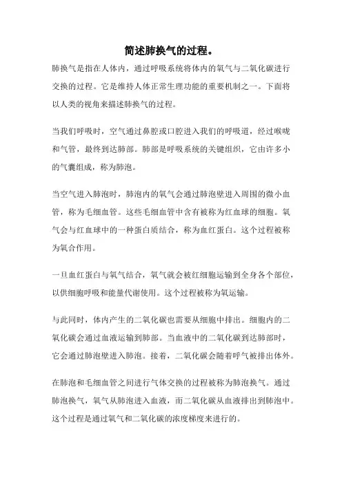 简述肺换气的过程。
